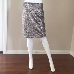 Silver Sequin Skirt